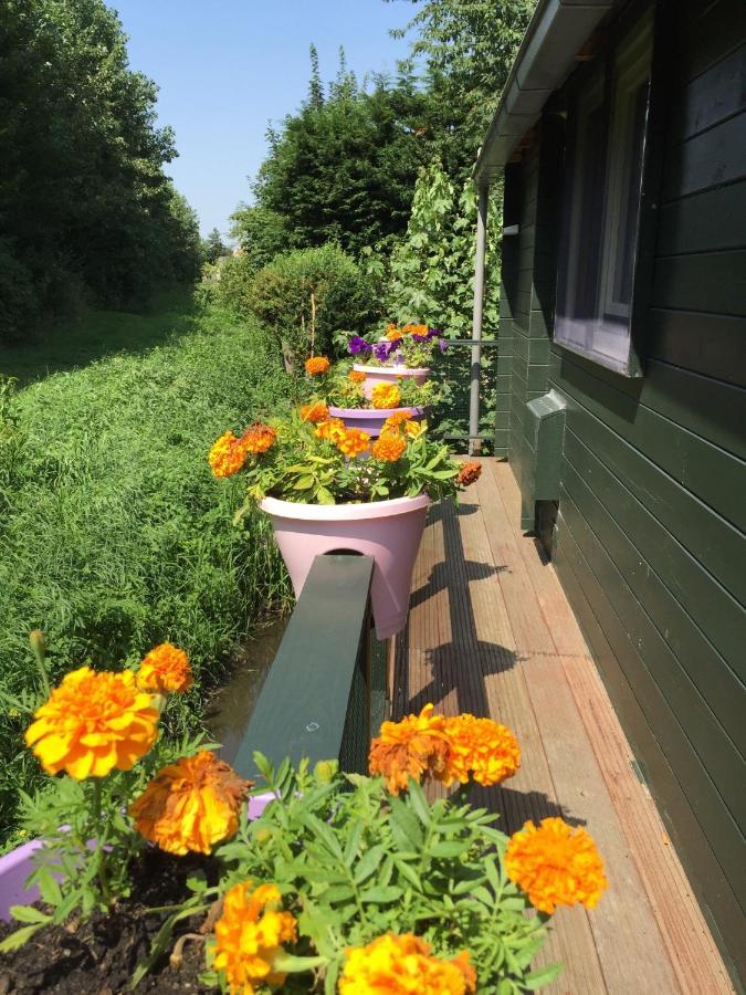 הוילה באדהופדורפ Gardenhouse Mariposa מראה חיצוני תמונה